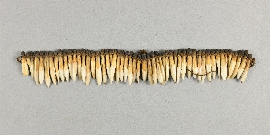 P4392