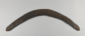 P3229