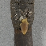 920613