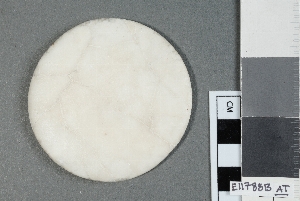 E11788B