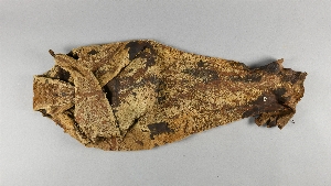 P4789