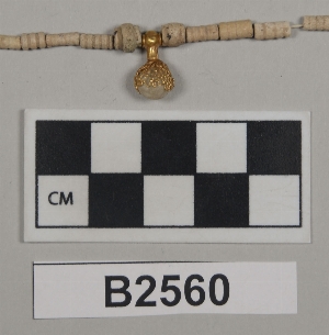 B2560