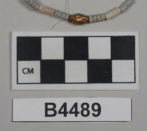 B4489
