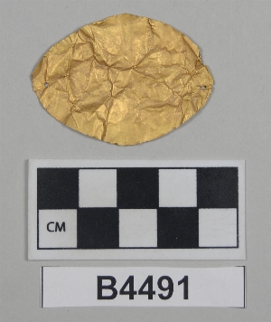 B4491