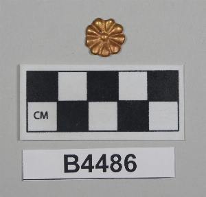 B4486
