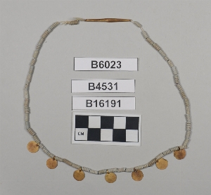B16191