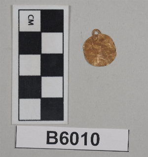 B6010