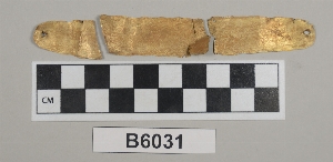 B6031