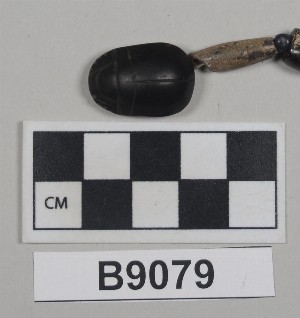 B9079
