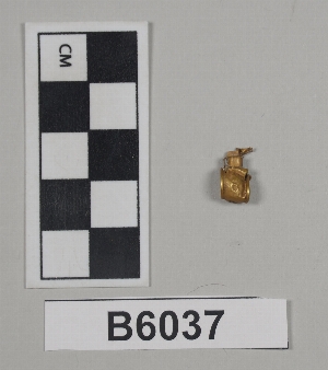 B6037