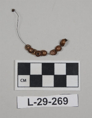 L-29-269