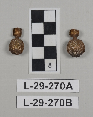 L-29-270A