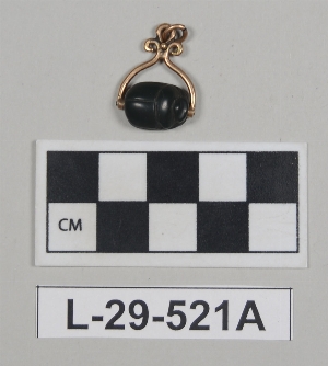 L-29-521A