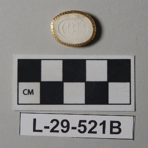 L-29-521B