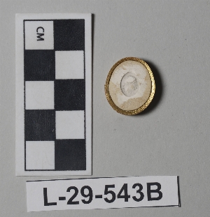 L-29-543B