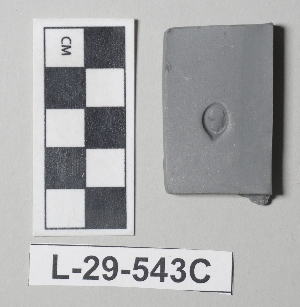 L-29-543C