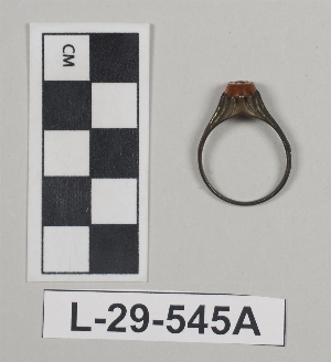 L-29-545A