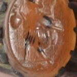 923525