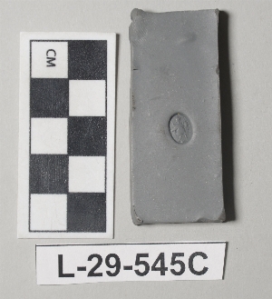 L-29-545C