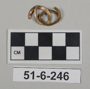 51-6-246