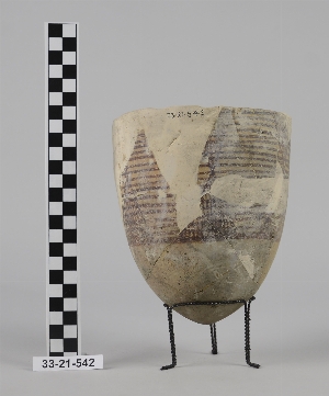 33-21-542