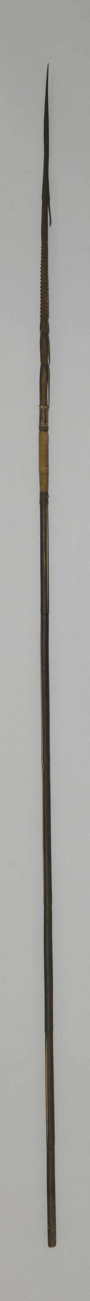 P4259