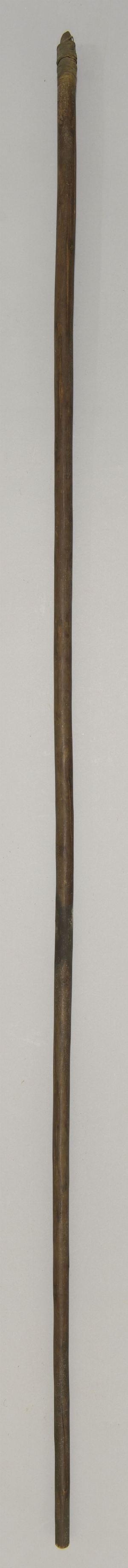 P1884