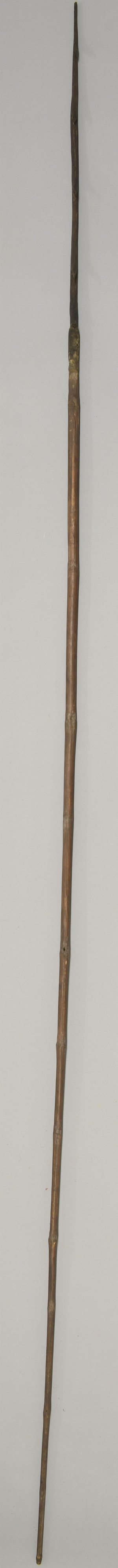 P2393