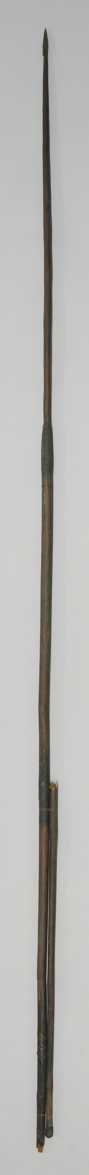 P2568