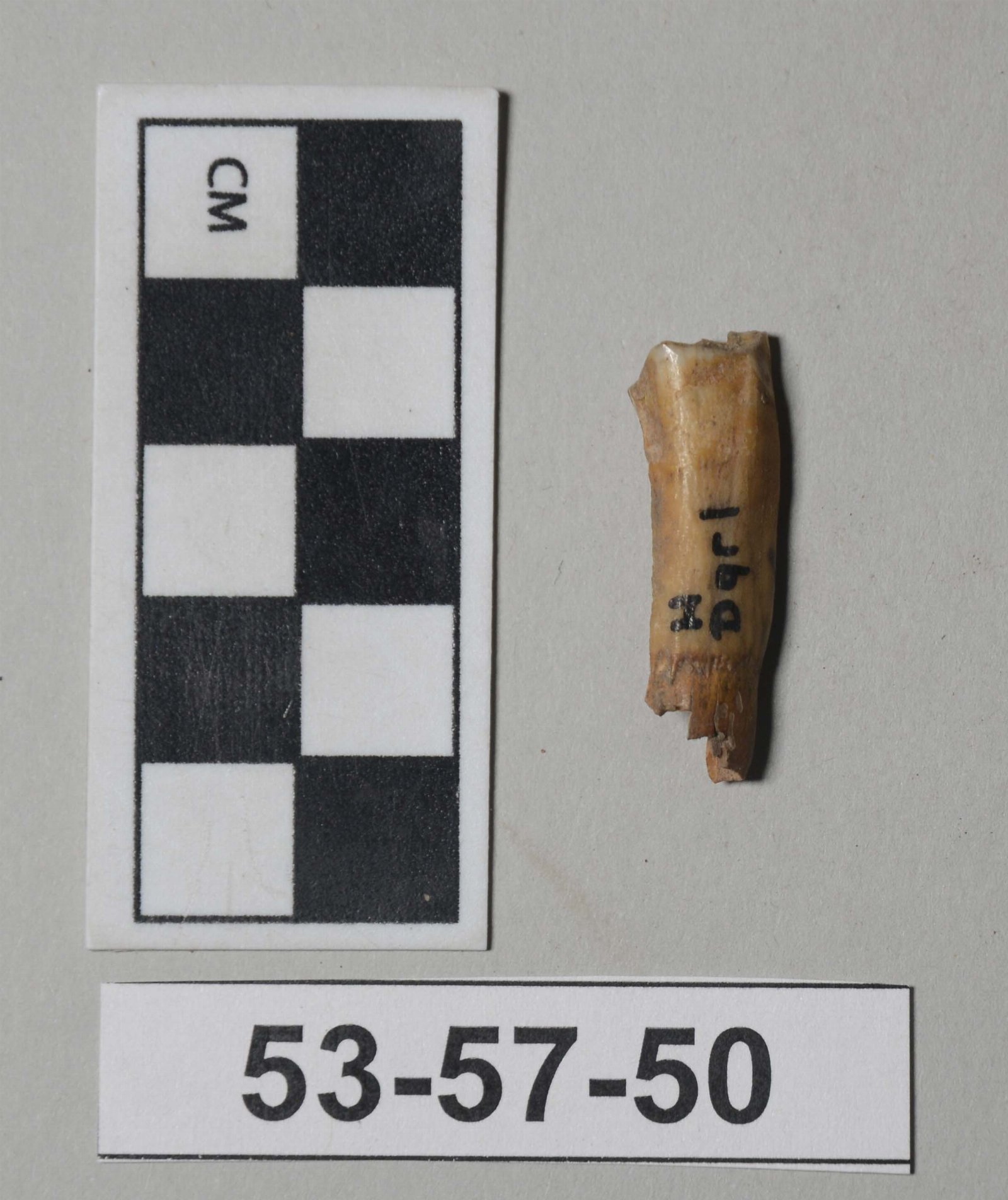 925472