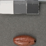 925692