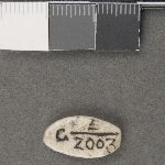 925697