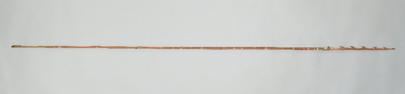 925768