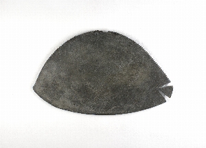 E1237