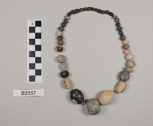 B2557