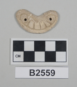 B2559