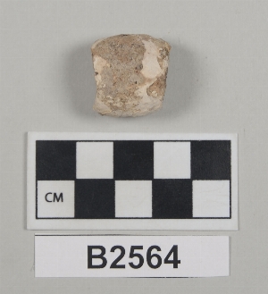 B2564