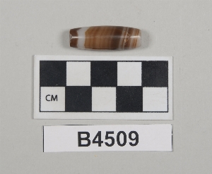 B4509
