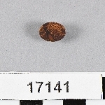 926384