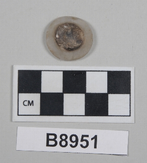 B8951