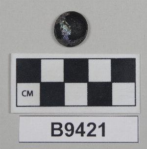 B9421