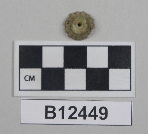 B12449
