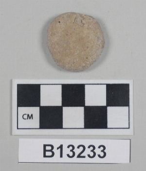 B13233