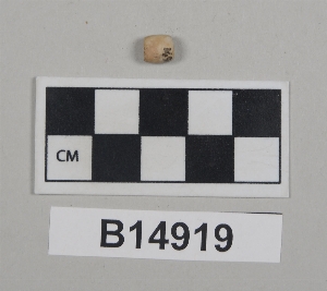 B14919