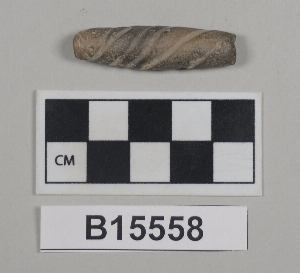 B15558