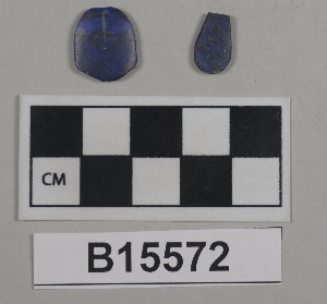 B15572