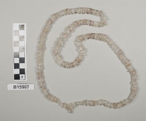 B15907