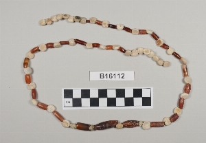 B16112