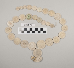 B15976