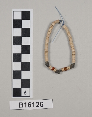 B16126